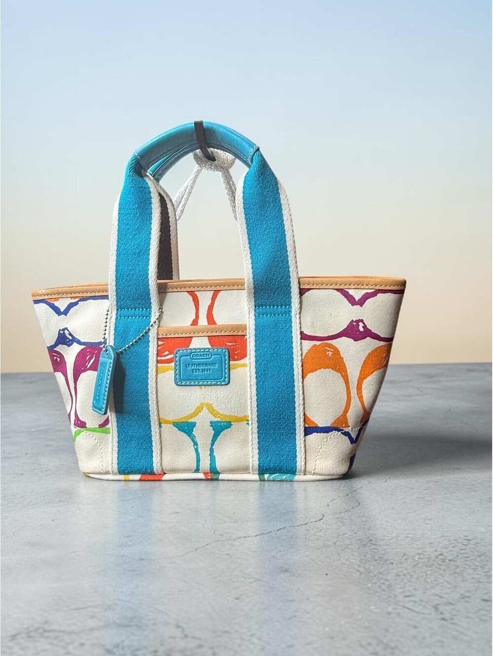Coach Vintage Hampton Scribble Mini Tote Y2K M04K-5659